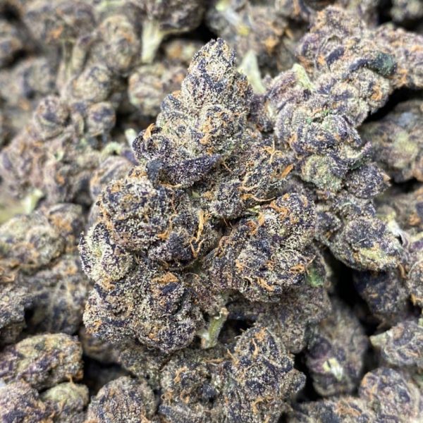 BLACK SHERBERT
