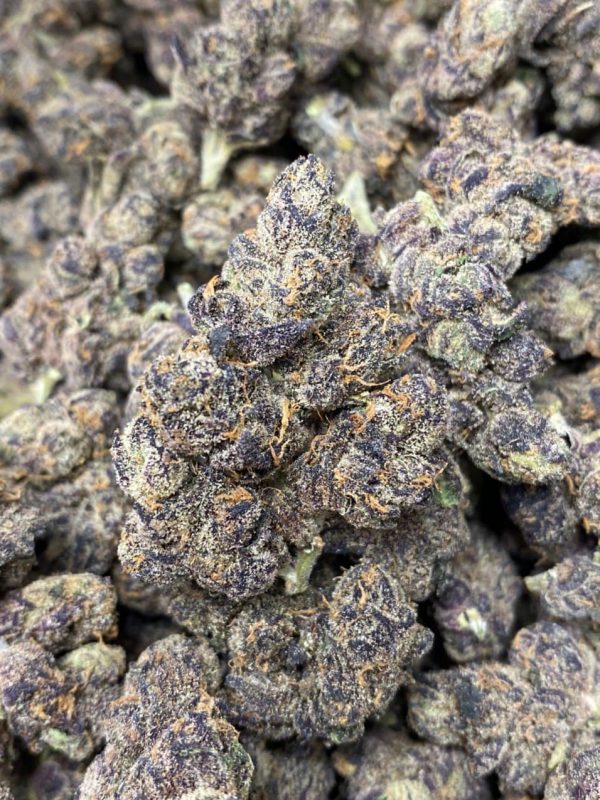 BLACK SHERBERT