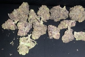Grand Daddy Purple
