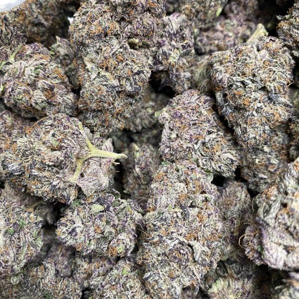 PINK ROZAY