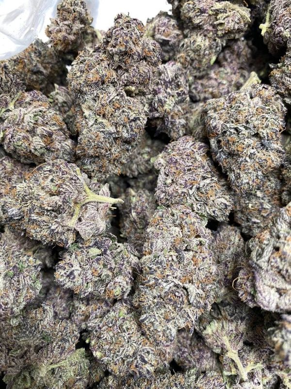 PINK ROZAY