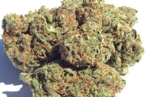 Blueberry Pie