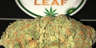 Green crack