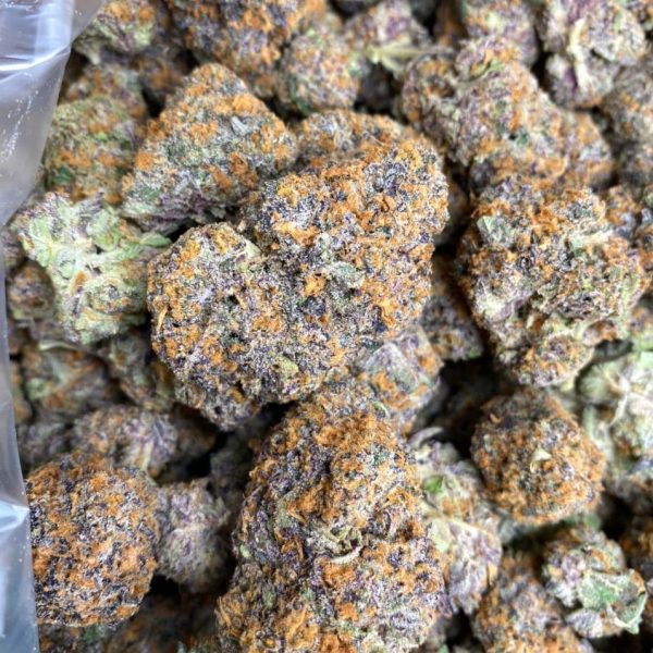 BLUEBERRY GELATO