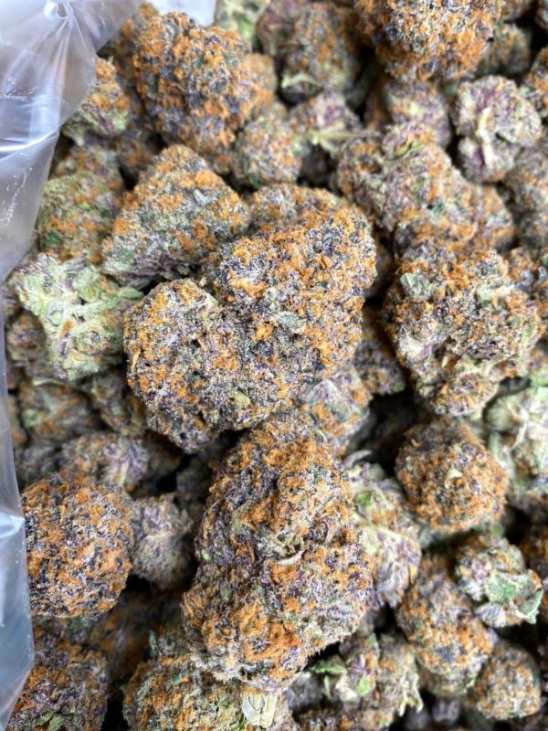 BLUEBERRY GELATO