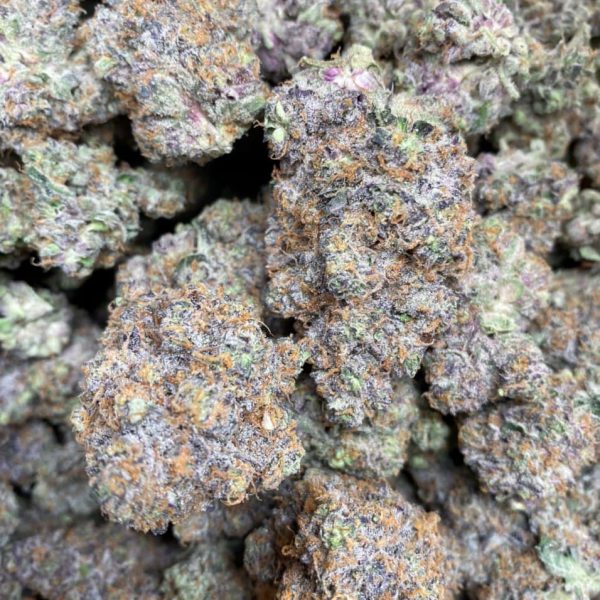 LA Kush Cake Strain