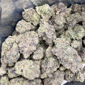 HYBRID STRAINS