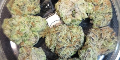 Horchata Strain
