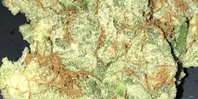 Super Silver Haze