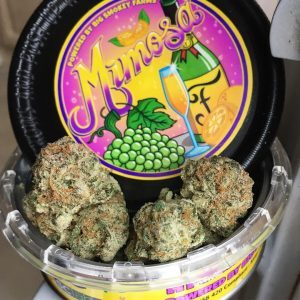 MIMOSA