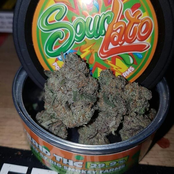 SourLato