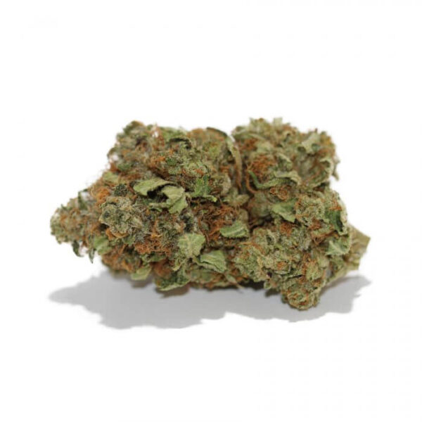 Afghan Kush strain