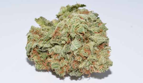 Blue Cheese Strain
