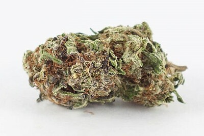 Blueberry Yum Yum strain