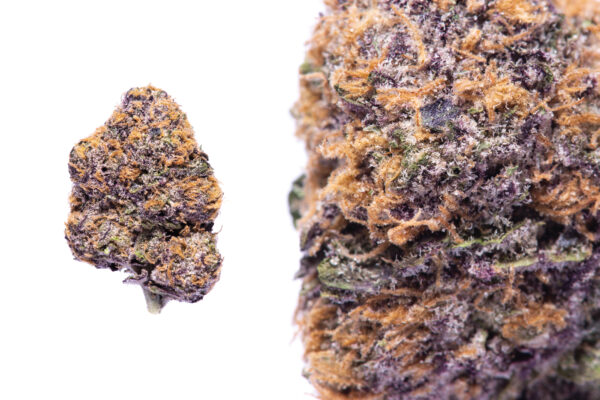 Grand Daddy Purple