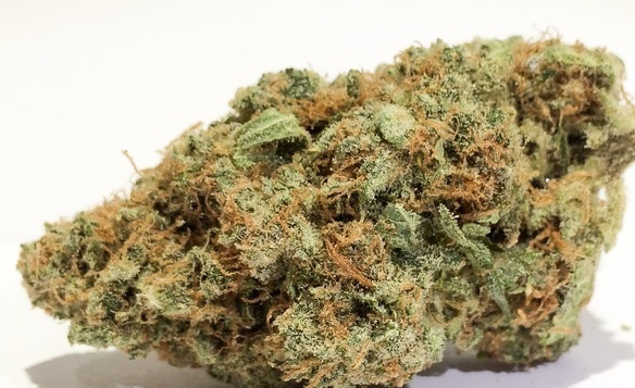 Orange Crush Kush Strain