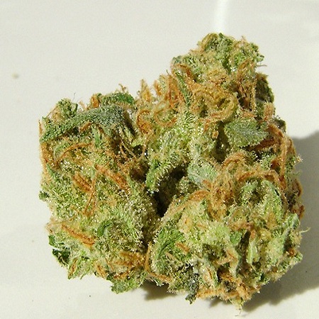 super lemon haze strain