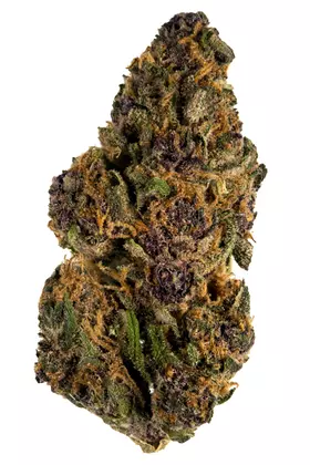 Forbidden Fruit strain