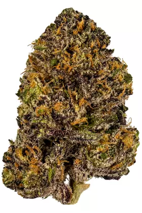 GrandDaddy Purple Strain