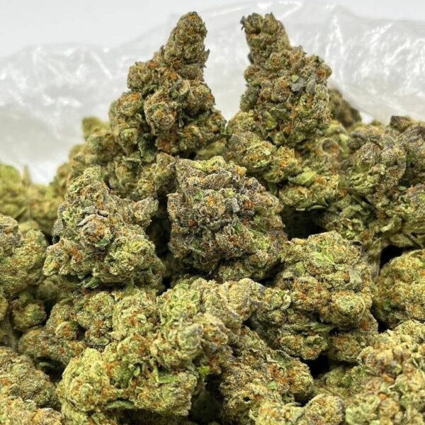 Triple Chocolate chip strain