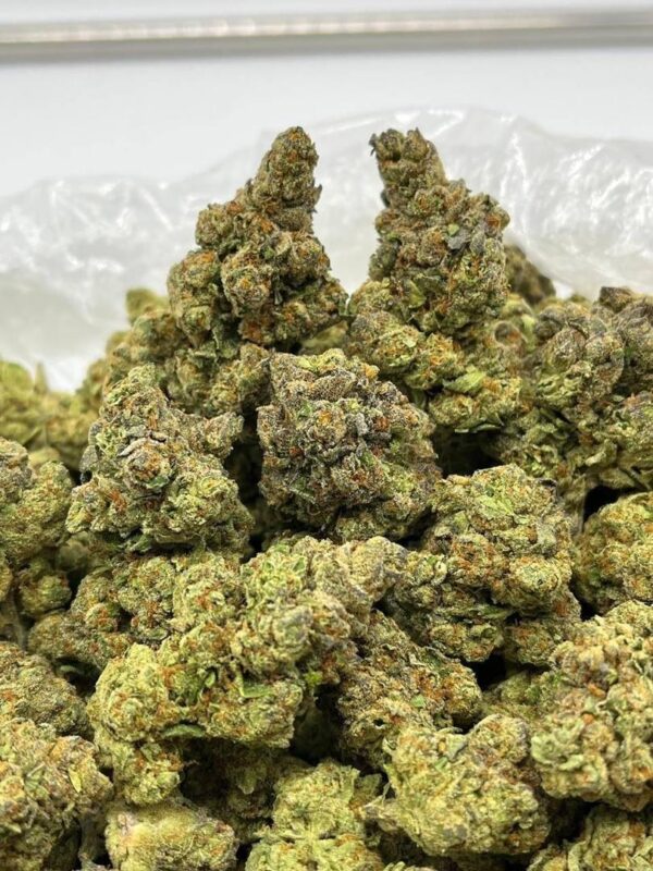 Triple Chocolate chip strain