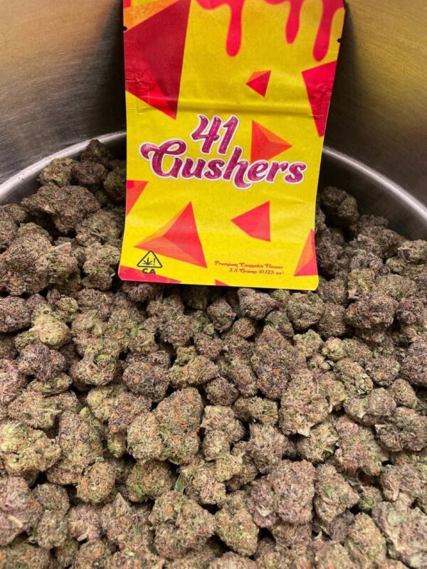 41 Gushers Strain