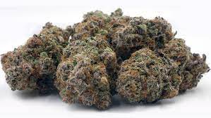 Cherry Soda Strain