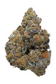 Monster Cookies Strain