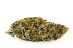 pinkman Goo strain