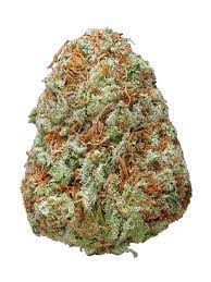 Purple Urkel Strain