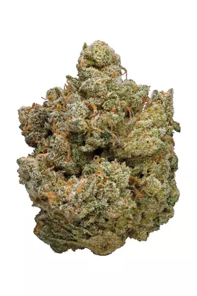 Chemdawg Strain