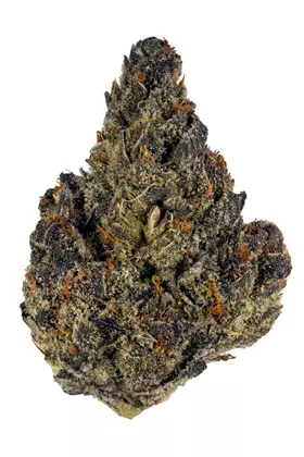 Blueberry Cookies Strain