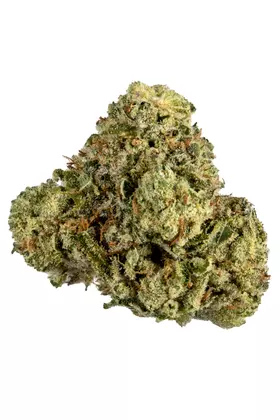 Sour Grapefruit Strain