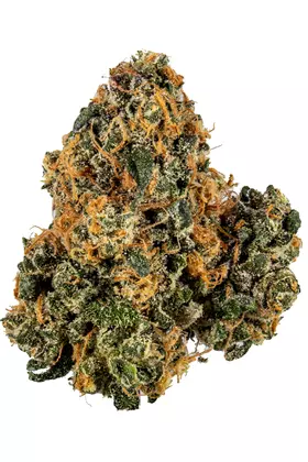Triple OG Strain