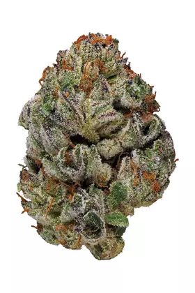 Birthday Cake Strain