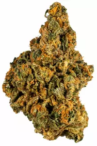 Mojito strain