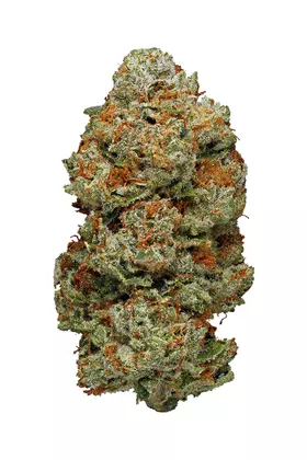 WhiteWalker OG Strain