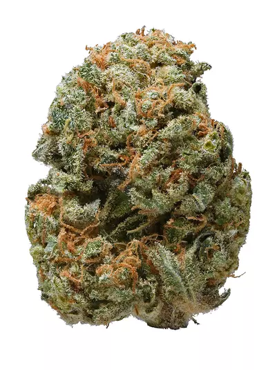 Alpha Blue Strain