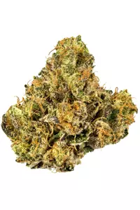 Gelato cake strain