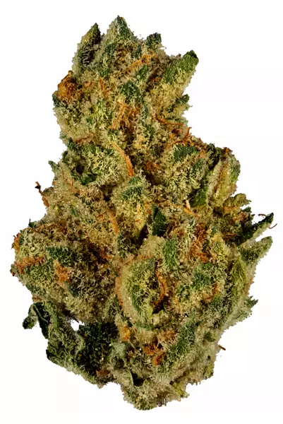 Grease Monkey Strain