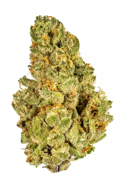 kush mints strain