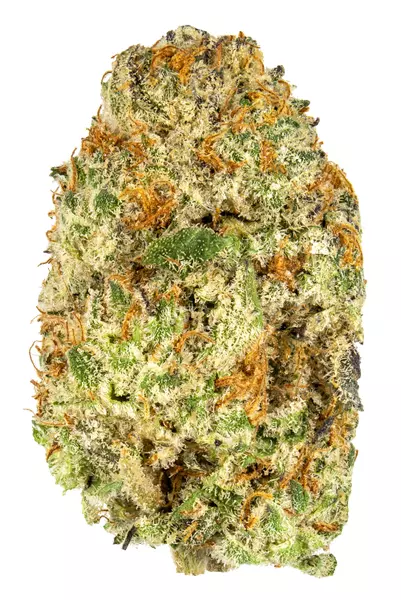 Oreoz Strain