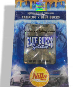 Blue Bucks Glan Strain