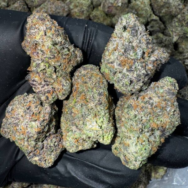Zaza Peach Zoda Strain