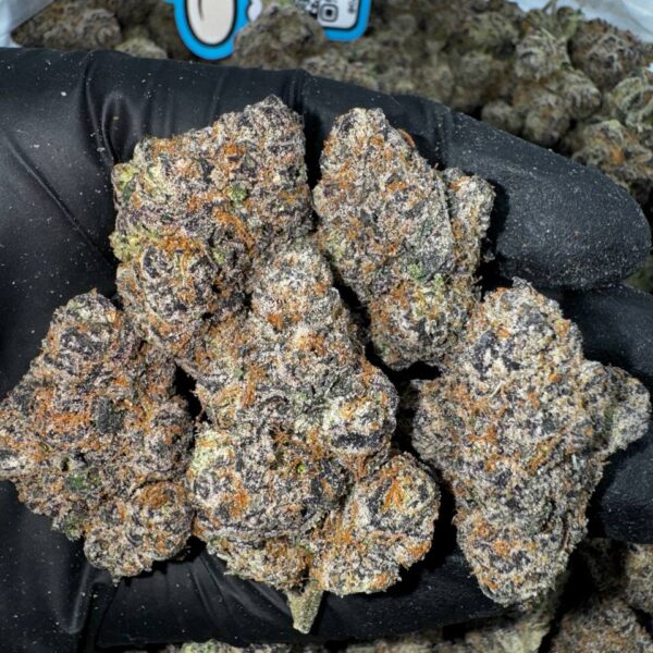 Zaza Premium Zop Strain