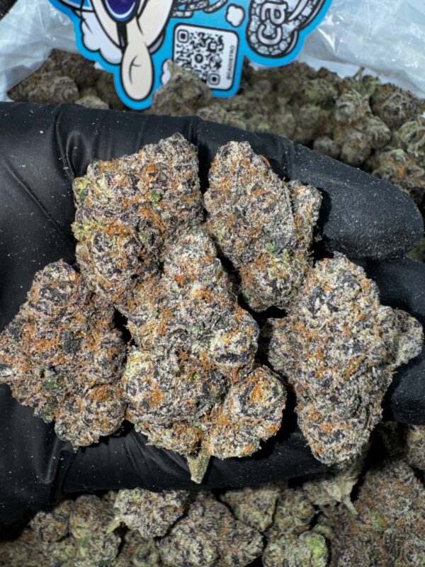 Zaza Premium Zop Strain