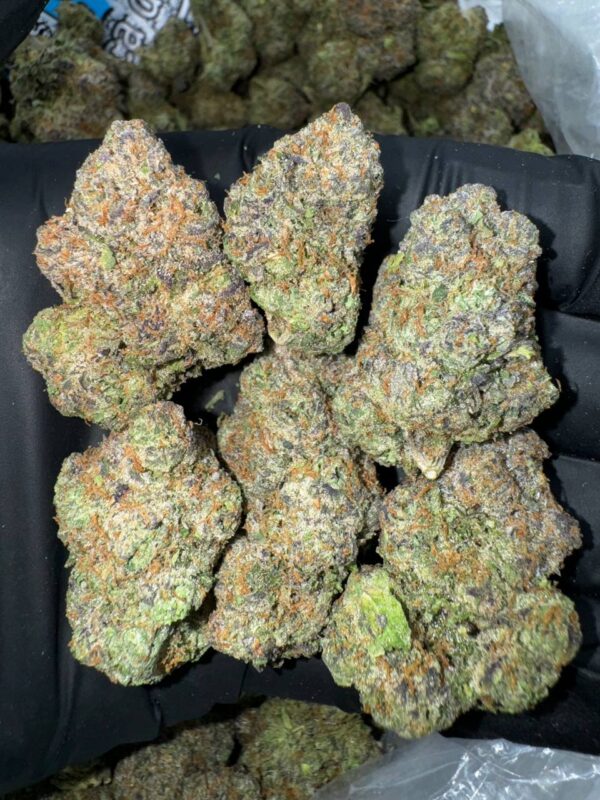 Zaza Lemon ZKittles Strain