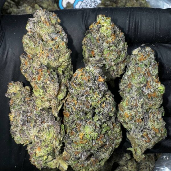 Blue Biscotti Strain