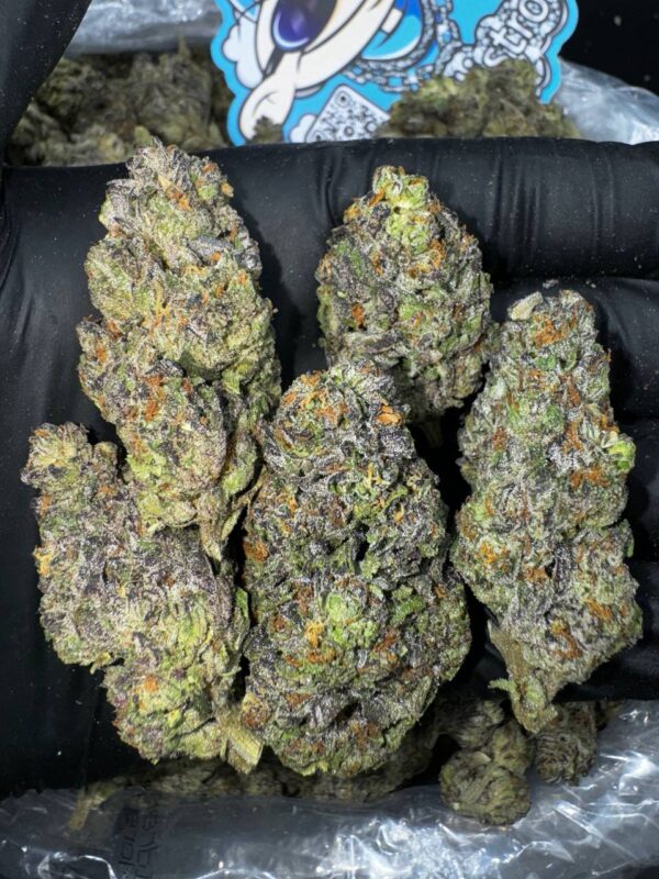 Blue Biscotti Strain