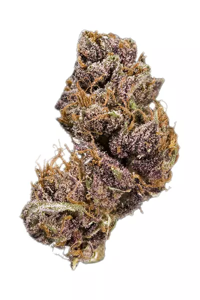 Black Domina Strain